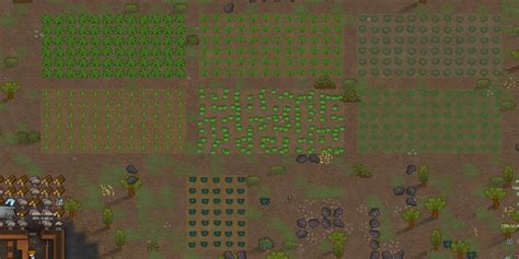 The Best Farm Animals In RimWorld .